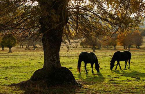 Villabamba - Foto 39