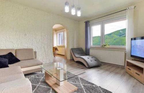 Willa Kotelnica - Foto 17