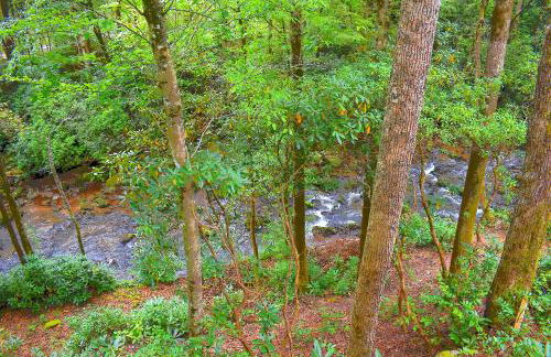 The Junction - Foto 9