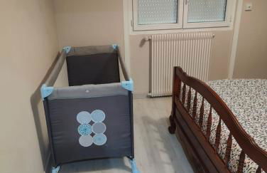 Maison 2 chambres et 2 lits simple Jardin en centre ville - Foto 21