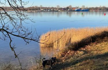 Sunlit Garden - Ruhig am Wald nahe Warnow Rostock - Kamin - Foto 29