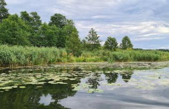 Domek w polu - Foto 48