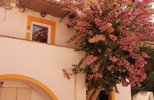 Quinta do Boição - Photo 66