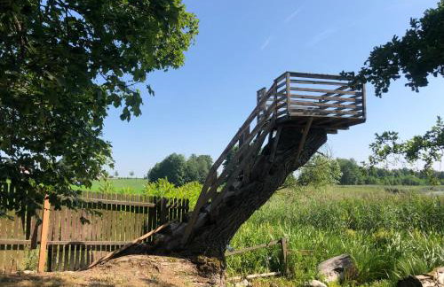 Zielona Dolina - Foto 25