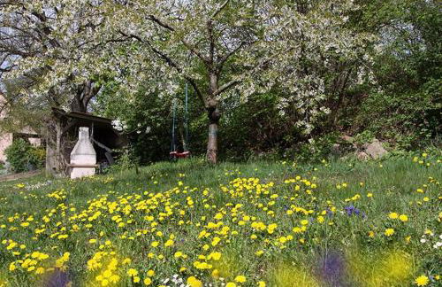 Ferienhof Amslinger - Foto 7