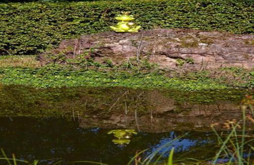 Two separate farmhouse apartments under one roof - Foto 37