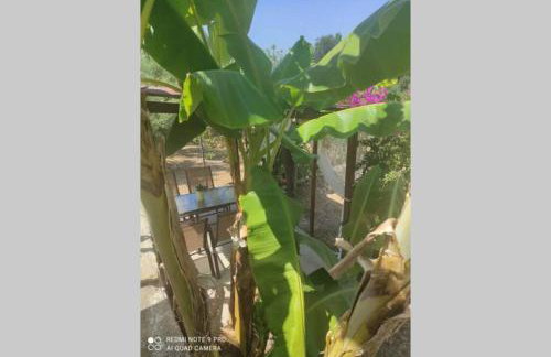 Aglaia House - Foto 26