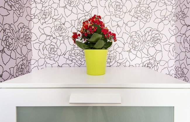 Grand Budapest Apartments - Foto 9