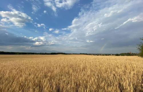 Hof Türke - Foto 48