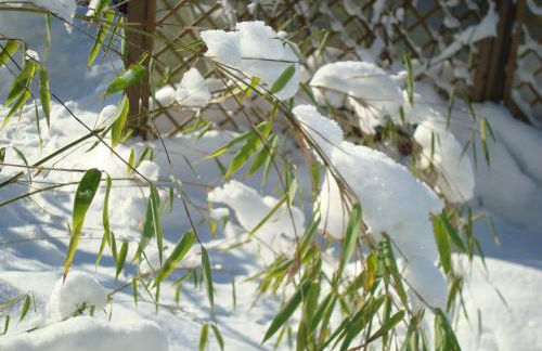 Villa Relax - Ferienwohnungen & Hallenbad & Relaxgarten - Foto 74