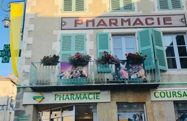 Gite Coccinelle in the medieval town of Confolens - Foto 45