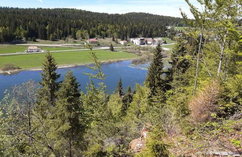 CHALET LES EPILOBES - Foto 6