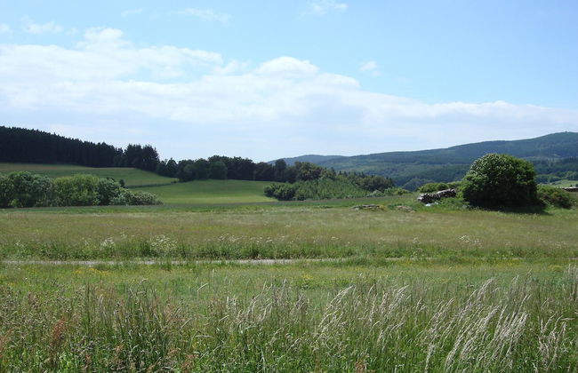 Hillside Cottage Near Winterberg - Foto 33