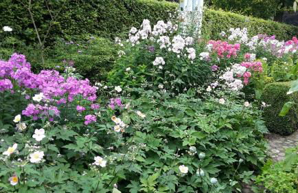 Gartentraum - Foto 29