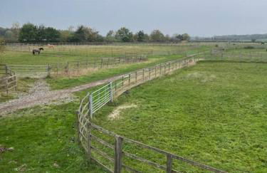 Hanaverian suit with amazing views of stud farm. - Foto 10