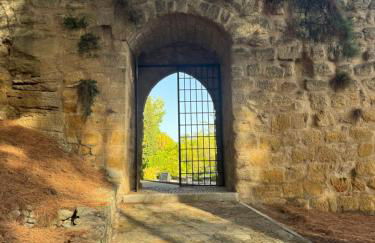 Alcalá zona Centro - Foto 44