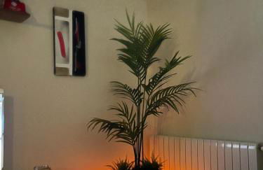 My Casa Ferrera - Foto 8