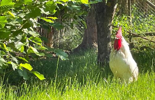 Ferienhof"WaldEsel Rippersroda" - Foto 50