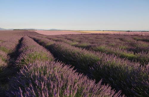 Zofia appartements - Duplex avec terrasse #2 - Foto 5