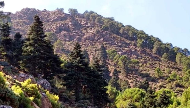 Senderismo por la Sierra de las Nieves - Foto 2, Parque Nacional Sierra de las Nieves, en Málaga