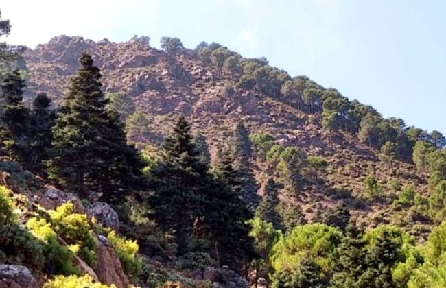 Senderismo por la Sierra de las Nieves - Foto 2