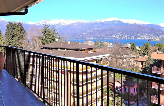 Pettirosso - Photo 1