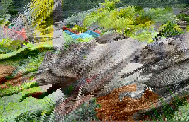 Aventura Jurassica Ticket - Photo 9