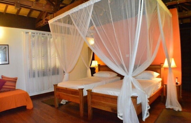 Heliconia Grove - Foto 7