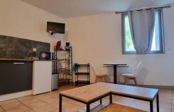 T1 rénové 28m2 Cosy Confort ! - Foto 18