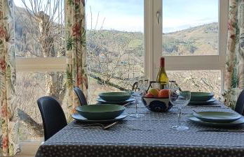 O Salgueiral - Foto 17