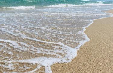 StudioBTS - Lauderdale-By-The-Sea - Photo 26