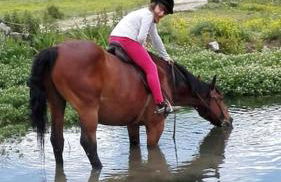 Il Borgo della Zittola - Foto 49