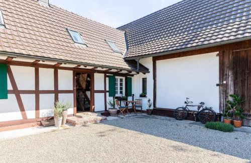 Privat Apartment- Near Strasbourg, Baden Baden - Foto 15