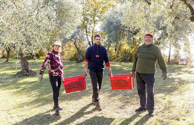 Agriturismo Agricamping GARDA NATURA - Foto 27