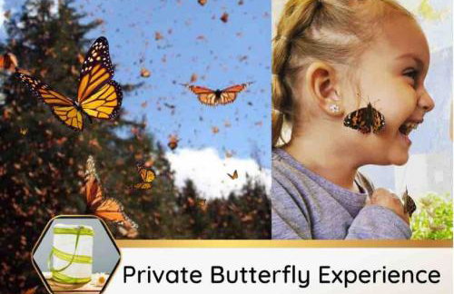 Badger Den: 1mi.Snow College~ Wash/Dryer~Climb - Foto 17