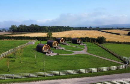 Deep Dale- Bugthorpe Grange Glamping - Foto 21