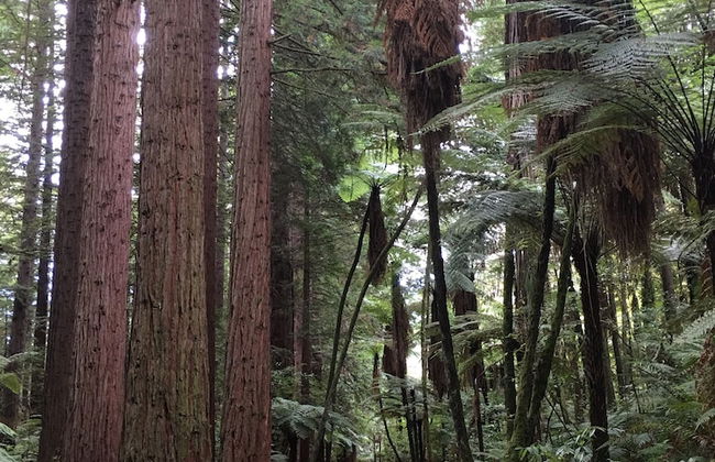 VacationStay on Lake Rd - Foto 20