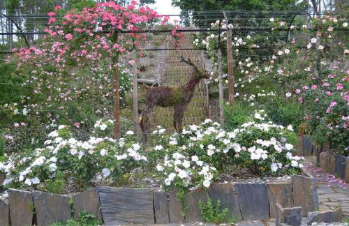 Charming Garden Retreat in Pedrogao Grande - Foto 77