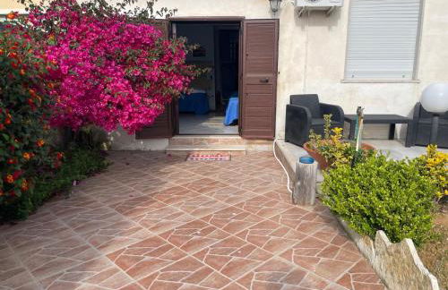 Il Violoncello - Foto 14