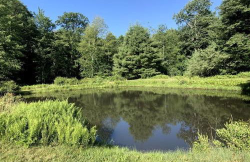 Gorgeous Cottage for Two, Overlooking Pond on 20 acres, Glamping in Pennsylvania - Foto 31