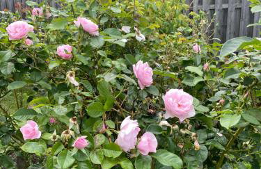 Maison du Grand Pin - Foto 24