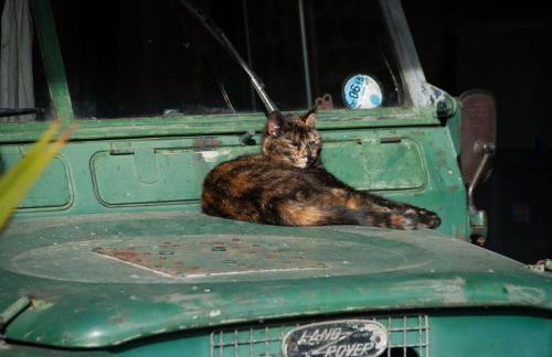 Farm Cottage a cute C17th cottage a walk across the fields to a great pub - Foto 25