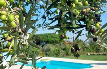 A Casa do Soito - Foto 10