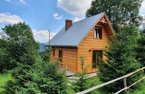 Domek Góralski Piwowarówka - Foto 57