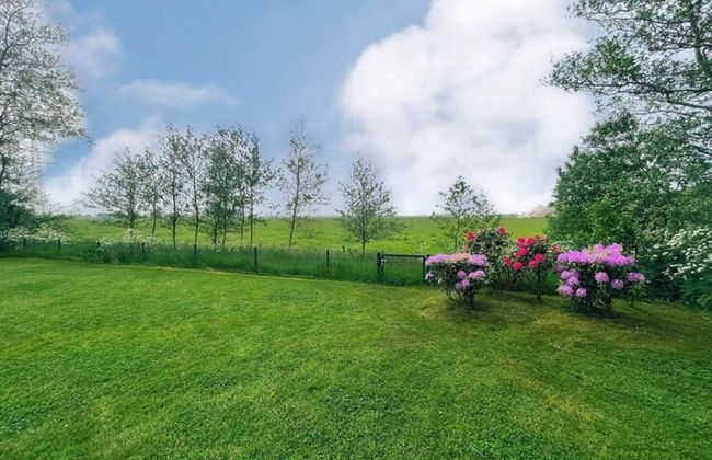 Historisches Reetdachhaus in Ruhiger Lage - Foto 25