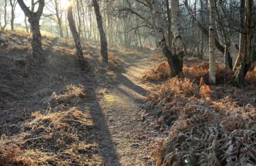 The Old Stable at Manor House, Middleton - Foto 47