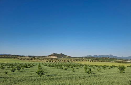 Casamarcati - Foto 13