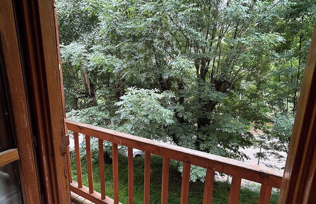 Apartamentos La Solana - Photo 12