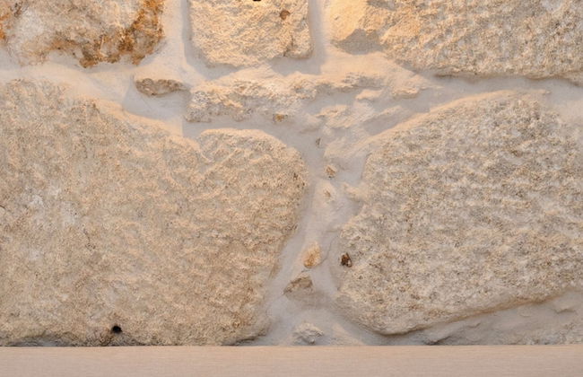 Liiiving in Gaia - THE WINE SIDE VI - Foto 1