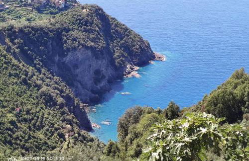 Walk and Relax Retreat - HOMY 5 TERRE - Foto 26